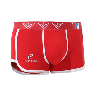 Man Panties Shorts Male Underpants Sexy Plus Size Sports Men Underwear Cotton