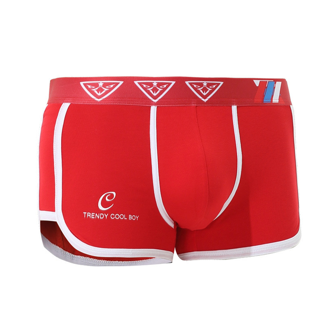 Man Panties Shorts Male Underpants Sexy Plus Size Sports Men Underwear Cotton